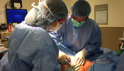 Anne Peled MD performing surgery in the OR with assistance